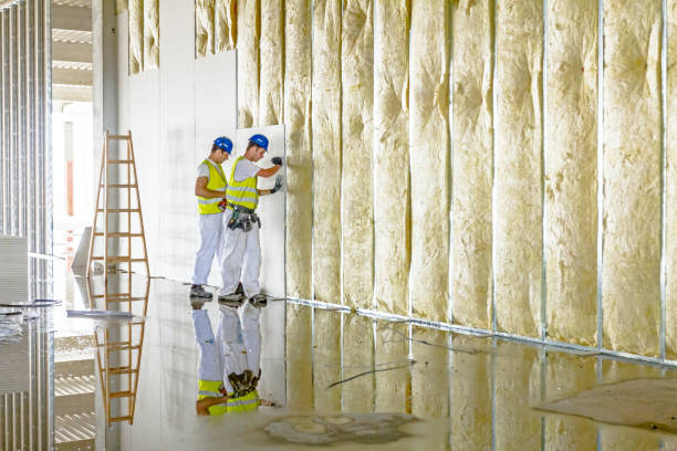 Best Types of Insulation in Oak Hills Pce, LA